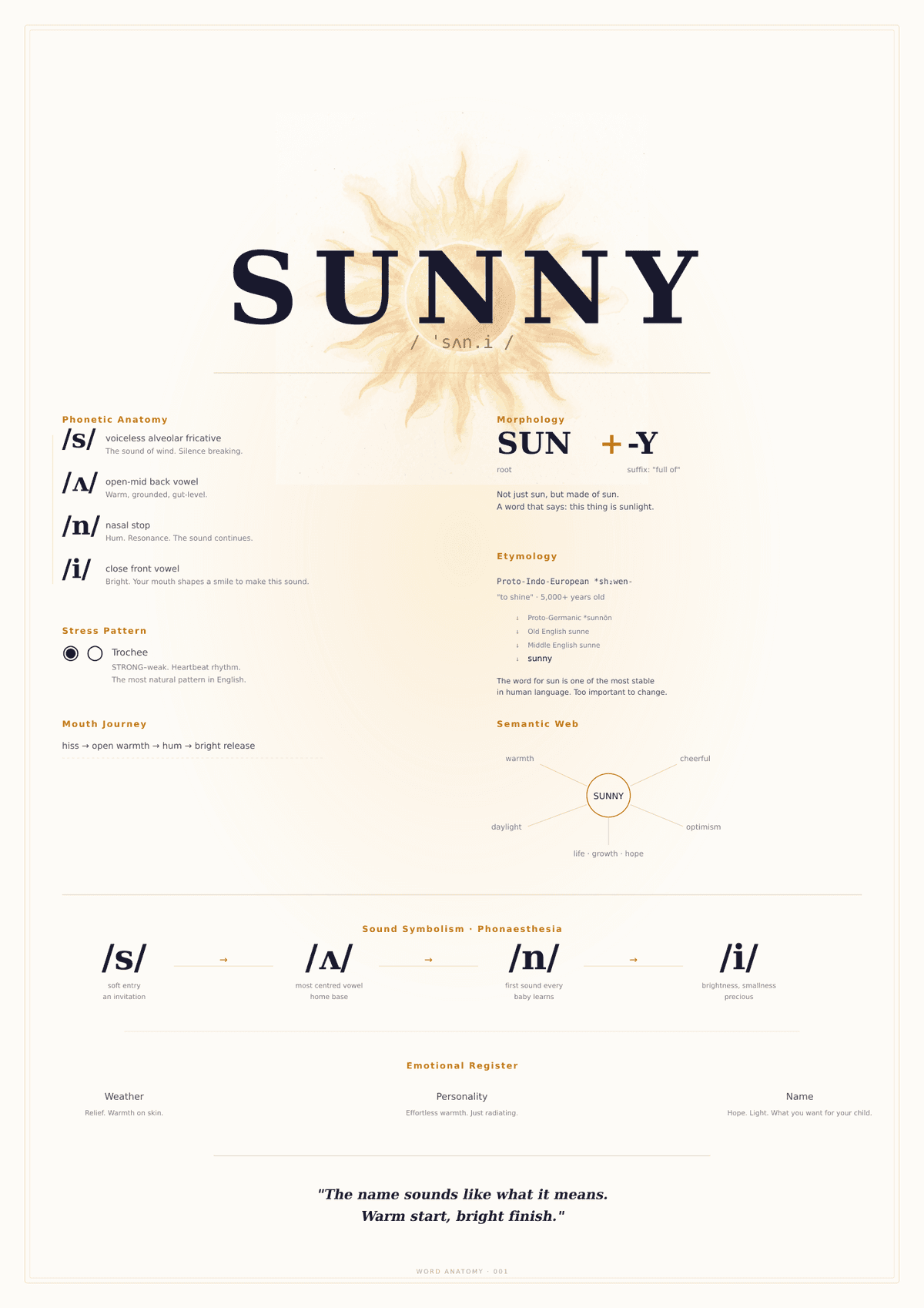 SUNNY - Word Anatomy Art Print by Etyma